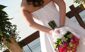 header image 2